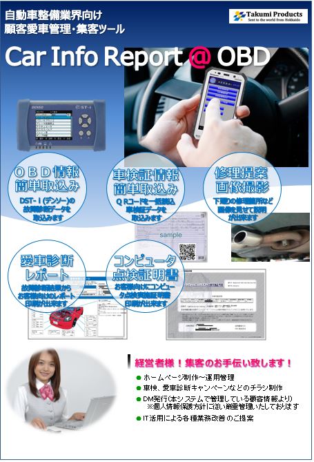 Car Info Report